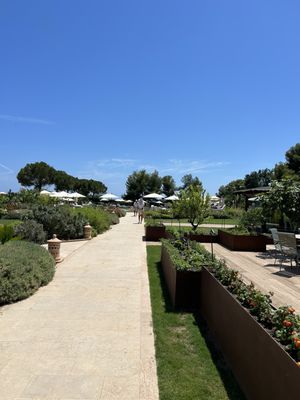 St Regis Mardavall Mallorca Resort by null