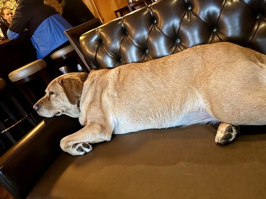 Fireside Bar by null