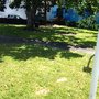 Photo of Pocket Park