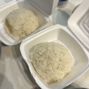 Pinto Thai Restaurant - S1. Rice - Thai Near Me - Tampa, Florida Pinto Thai Restaurant - S1. Rice - Thai Near Me - Tampa, Florida