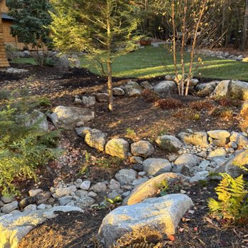 Nics Home and Yard Services - Swale and planting - Carpet Cleaning Near Me Nics Home and Yard Services - Swale and planting - Carpet Cleaning Near Me