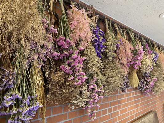 Kobe Nunobiki Herb Gardens & Ropeway by null