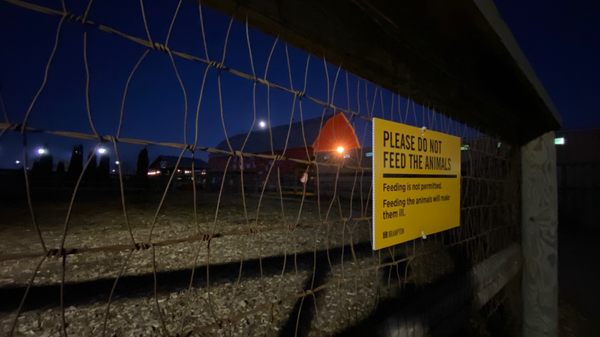 Chinguacousy Park by null