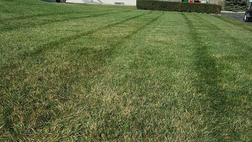 SMARTSCAPES Updated June 2024 11055 Converse Chapel Rd, Plain City