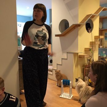 Maison de Moggy - Cafes Near Me - Edinburgh, EDH Maison de Moggy - Cafes Near Me - Edinburgh, EDH