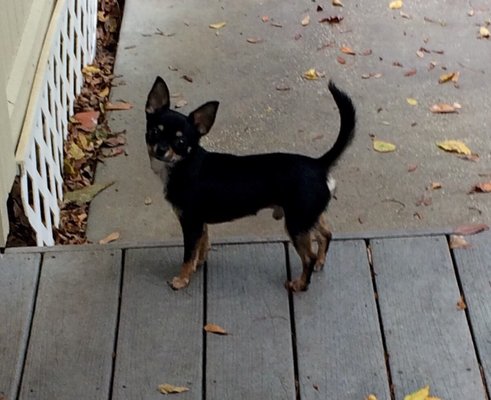 For Fours Acres Lodge