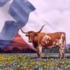 Bluebonnet Art Gallery & Framing gift card