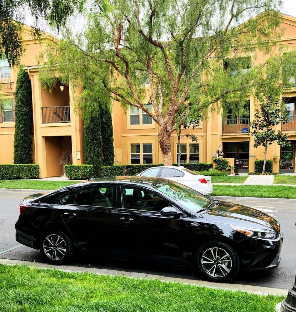 DONS BODY SHOP, INC Updated September 2024 84 Photos & 87 Reviews