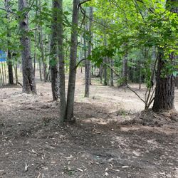 Silva Land Clearing Services
