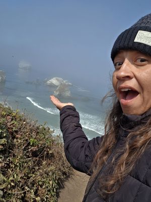 Sand Dollar Beach by null