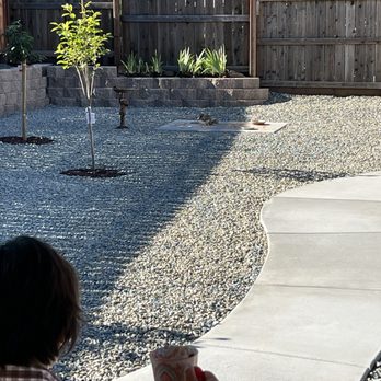 Barriga Landscaping - I get to enjoy my morning coffee while watching my regular wildlife friends. - Landscaping Near Me