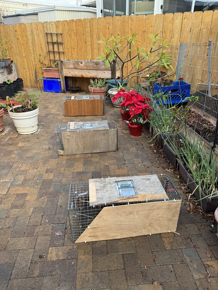 A TRAPPER DAN’S PEST CONTROL Updated October 2024 12 Photos & 79