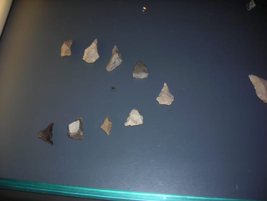 Museum of Prehistory of the Gorges du Verdon by null