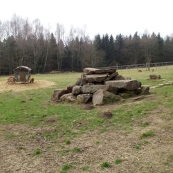 Wild und Wanderpark