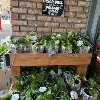 Trader Joe's - Grocery Near Me - Carlsbad, California Trader Joe's - Grocery Near Me - Carlsbad, California