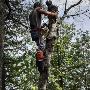 Ben's Danger Tree Removal - Tree Services Near Me - Brownington, Vermont Ben's Danger Tree Removal - Tree Services Near Me - Brownington, Vermont