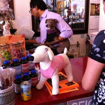 Yap Stores - Owner Liy & store dog Prando at register - Pet Stores Near Me - San Francisco, California Yap Stores - Owner Liy & store dog Prando at register - Pet Stores Near Me - San Francisco, California