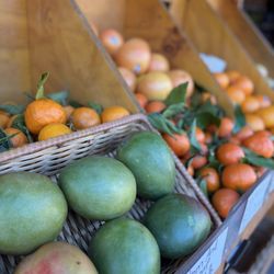 Kj Produce Market