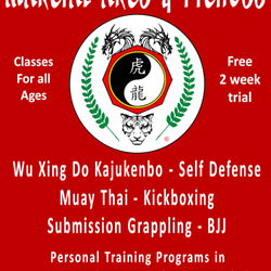 Wu Xing Do Martial Arts & Fitness