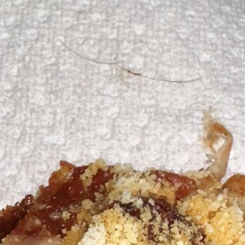 Marco's Pizza - Brown straight hair found between my pizza slices - Pizza Near Me - Durham, North Carolina Marco's Pizza - Brown straight hair found between my pizza slices - Pizza Near Me - Durham, North Carolina