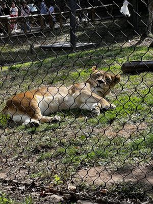 Philadelphia Zoo by null