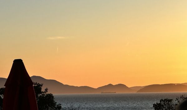 Chuckanut Manor Seafood & Grill by null