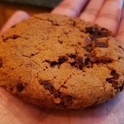 Organic Garden Cafe - Almond chocolate chunk cookie ($3.75). Delicious. Chewy, addictive & a hint of savory.