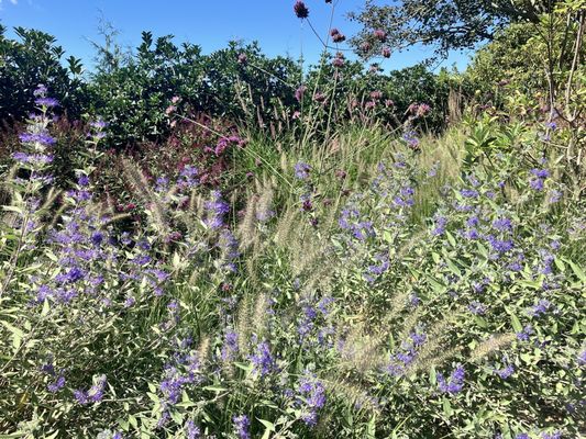 Sagaponack General Store by null