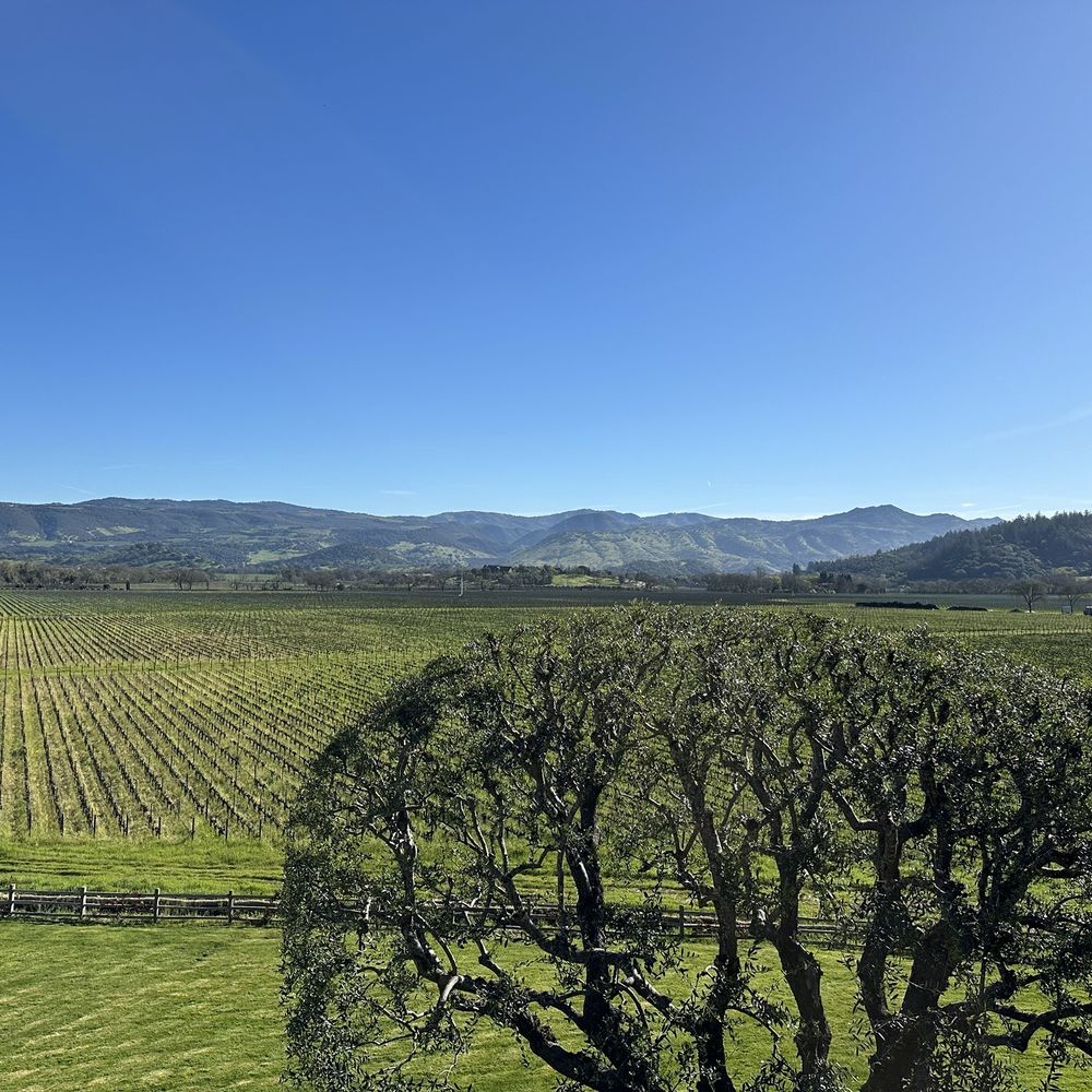 Far Niente - Gorgeous estate - Wineries Near Me - Oakville, California
