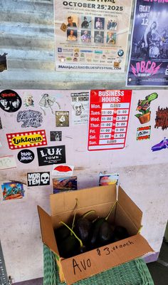 Request Music by null