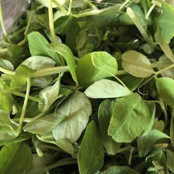 Poughkeepsie Farm Project - Pea Shoots from my first farm box - CSA Near Me - Poughkeepsie, New York