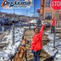 Photo of Offleash K9 Training New Orleans