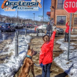 Offleash K9 Training New Orleans