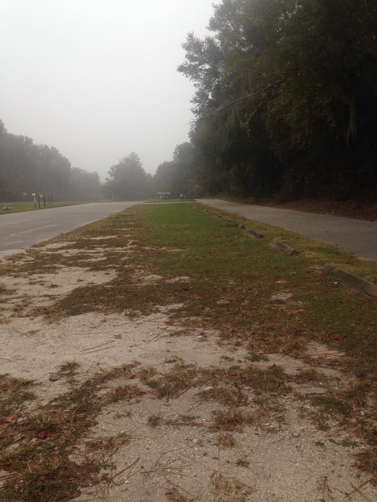 RIDGE MANOR TRAILHEAD Updated September 2024 Croom Rital Rd, Brooksville, Florida Hiking