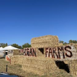 Hogan Farms Pumpkin Patch & Corn Maze