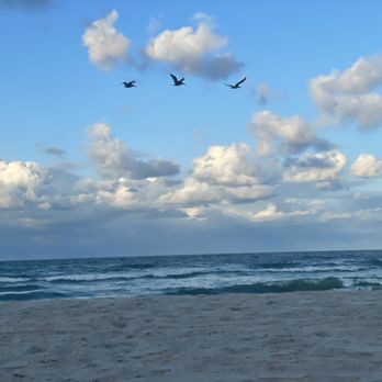 Playalinda Beach - Playa Linda - Beaches Near Me - Titusville, Florida