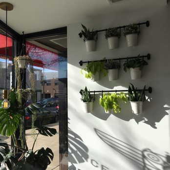 Owl And Lark - Coffee & Tea Near Me - La Grange, Illinois Owl And Lark - Coffee & Tea Near Me - La Grange, Illinois