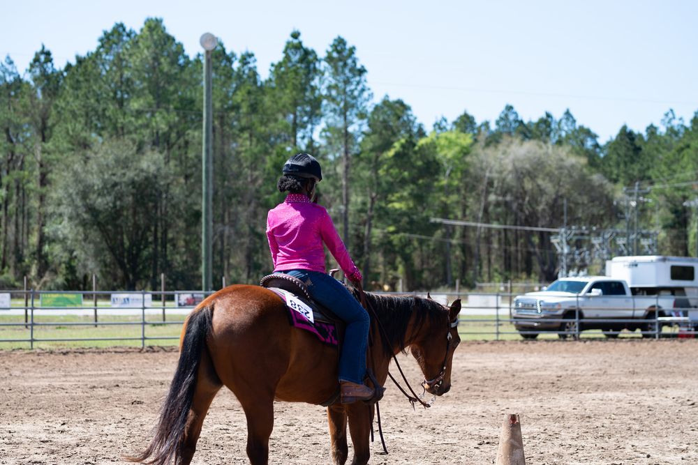 Horsing Around Stables - equestrian in Waycross, GA