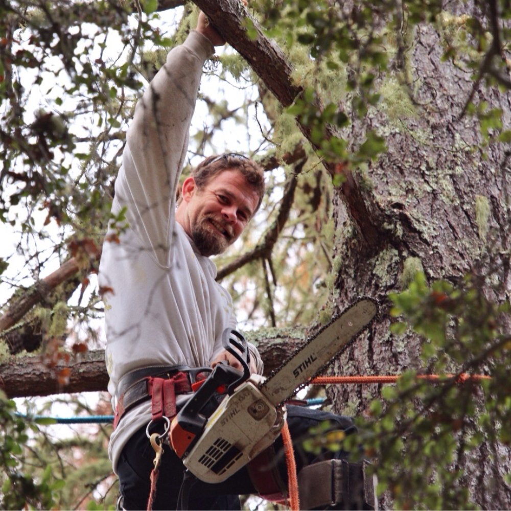 Sunderland Tree - Joe Sunderland - Tree Services Near Me - Boulder Creek, California Sunderland Tree - Joe Sunderland - Tree Services Near Me - Boulder Creek, California