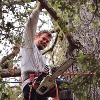 Sunderland Tree - Joe Sunderland - Tree Services Near Me - Boulder Creek, California Sunderland Tree - Joe Sunderland - Tree Services Near Me - Boulder Creek, California