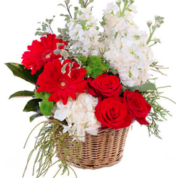 Eternal Spring Florist
