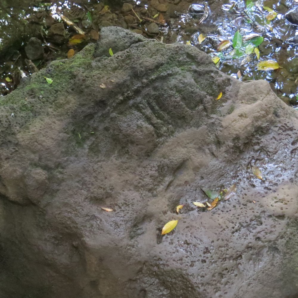Lulumahu Falls - Possible petroglyph a few pools down from the falls. - Hiking Near Me - Honolulu, Hawaii Lulumahu Falls - Possible petroglyph a few pools down from the falls. - Hiking Near Me - Honolulu, Hawaii