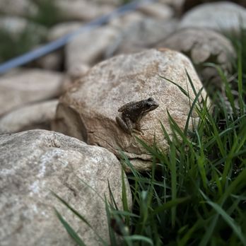 S O S Job Needs - Landscaping Near Me S O S Job Needs - Landscaping Near Me