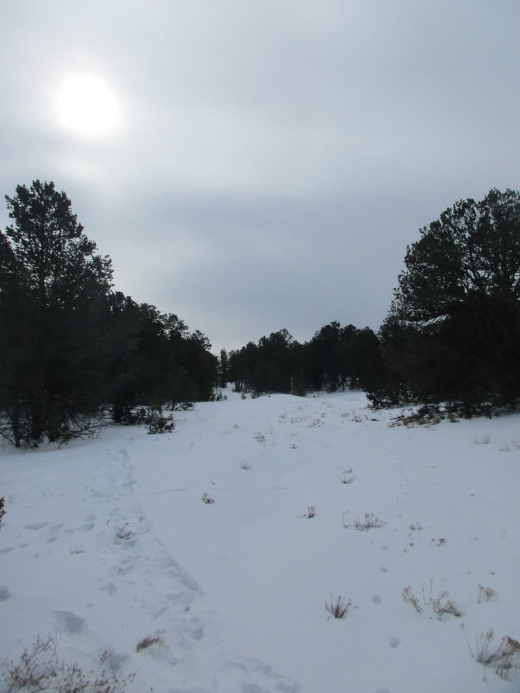 LEISURE MOUNTAIN MOBILE HOME AND RV PARK 768 Hwy 333, Tijeras, New