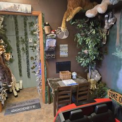 Goldielocks and the Three Bears Children's Hair Salon