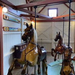 Flying Horses