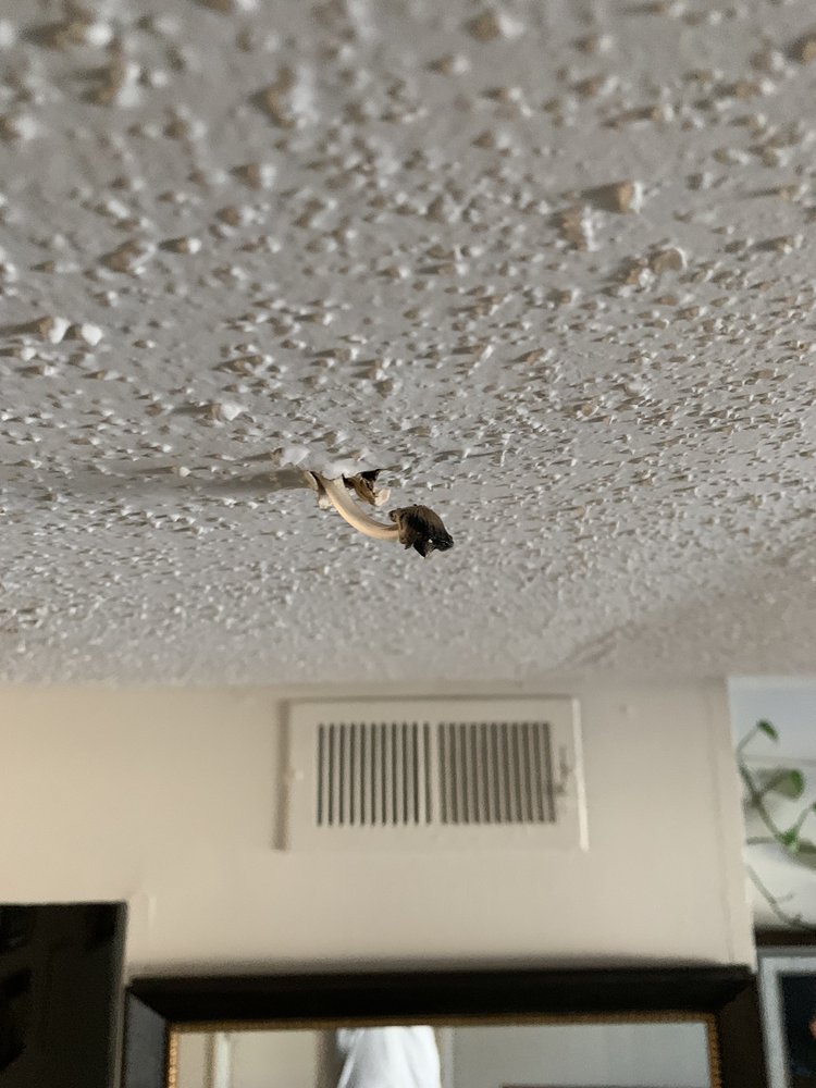 The Park at Buckingham - property management company in Homewood, AL