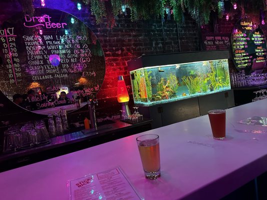 The Goldfish by null