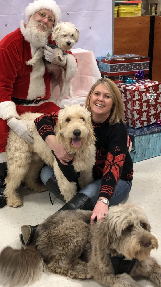 Reflections Wellness Counseling - grief counselor in Madison, AL