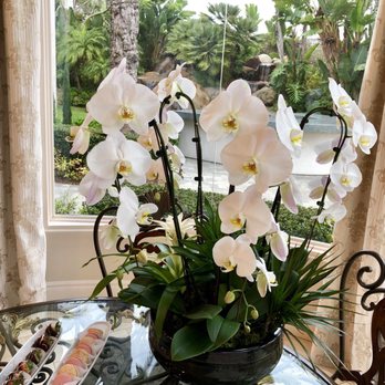 Artistic Floral Design - Orchid Arrangement - Floral Designers Near Me Artistic Floral Design - Orchid Arrangement - Floral Designers Near Me